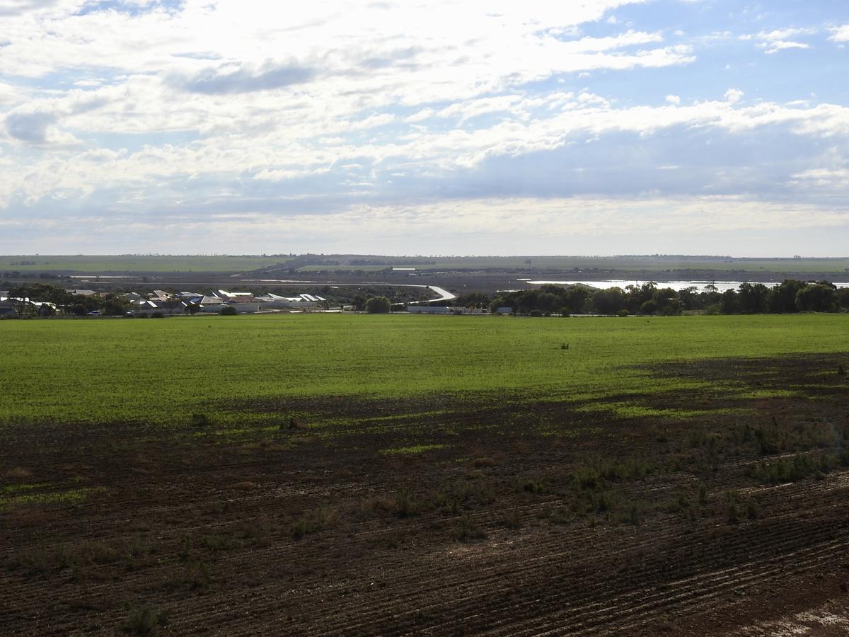Rezare House Bed & Breakfast Wallaroo Kültér fotó